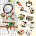 thumbnail image 3 of jouets Mcher Pour Lapin, Jouets Snacks Pour Petits Animaux, Jouets De Cochon D'inde, Soins Des Dents Pour Hamster Cochon D'inde Chinchilla Perroq, 3 of 5