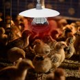 thumbnail image 1 of OFFIGAM 1pc Chicken Heat Lights White Metal Heating Lamp for Farmers, 1 of 6