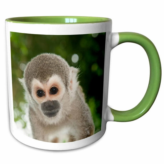 3drose, Common Squirrel Monkey Captive Pet, Coca Town, Amazon, Ecuador., 11oz Two-tone Green Mug