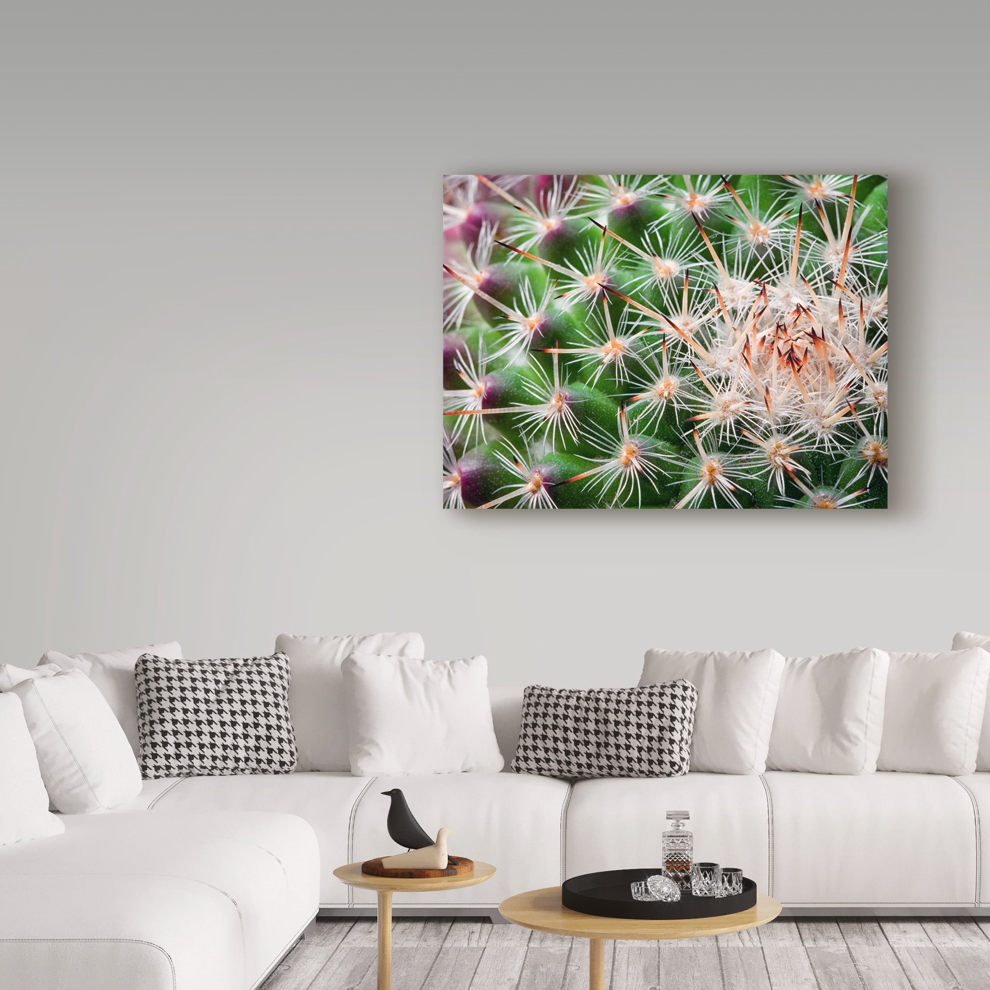 Trademark Fine Art 'Cactus Spines' Canvas Art by Janice Sullivan