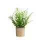 thumbnail image 1 of Planta de simulación bonsái decoración para el hogar y la sala de estar, pequeñas flores frescas en maceta, flores falsas de simulación, 1 of 5