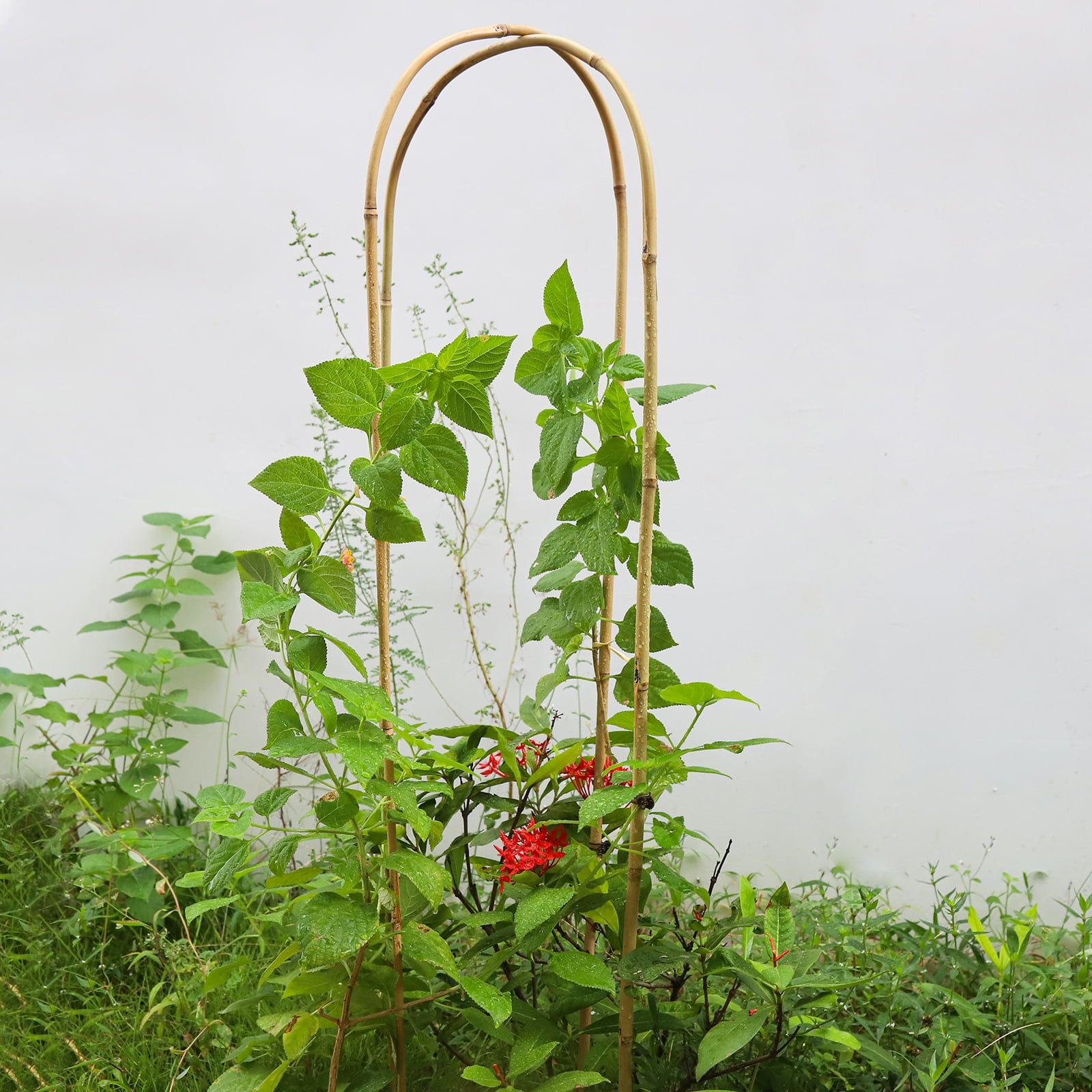 4ft Natural U-Hoops Bamboo Trellis U-Shaped Garden Trellis for Climbing Plants, Vines, Ivy, Flowers, and Potted Plants 3pcs