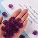 thumbnail image 5 of Transparent Frosted Acrylic Bead Caps 5-Petal Flower Dark Orchid 16.5x6mm Hole: 1.6mm about 959pcs/500g, 5 of 6