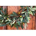 thumbnail image 3 of Nearly Natural 20" Olive Artificial Wreath, Green, 3 of 6