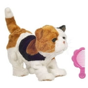 Furreal Frr Newborn Calico Kitten H