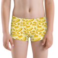 thumbnail image 5 of Yiaed Ears Of Corn Print Boys' Boxer Briefs Cotton Casual Stretch Comfort Boys Boxers - Kids Boxer Briefs Underwear for Boys (6-18)-X-Small, 5 of 5