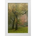 thumbnail image 3 of Vitaly Geyman 11x14 White Modern Wood Framed Wall Art Titled - Colors in the Mist VI, 3 of 5