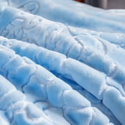 DBOZE King Size Fleece Blanket (85x95) – 12lbs Heavyweight, 2-Ply Thick Korean Mink, Ultra Soft & Silky Warm Winter Blanket – Blue