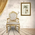 thumbnail image 3 of Ehret, Georg 13x18 Gold Ornate Wood Framed with Double Matting Museum Art Print Titled - Coconut Palm, 3 of 4