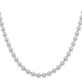 thumbnail image 2 of Chisel Stainless Steel 5mm Ball Chain Necklace - 24 inches, 2 of 4