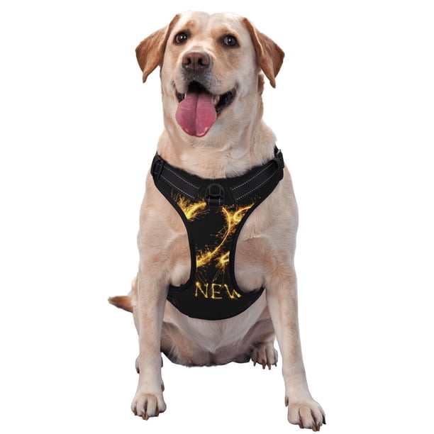 Balery Happy New Year 2025 D Arnés para Perros Grandes Antitirones, Arnés con Correa para Gato, Arnés Tipo Chaleco para Perros Pequeños-Small