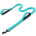 thumbnail image 1 of Laisse pour Chien en Nylon Robuste avec Doubles Poignées et Poignée Rembourrée pour l'Entraînement, 1 of 5