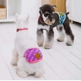 thumbnail image 5 of Touchdog Gauze-Aid Protective Dog Bandage and Calming Compression Sleeve, 5 of 28