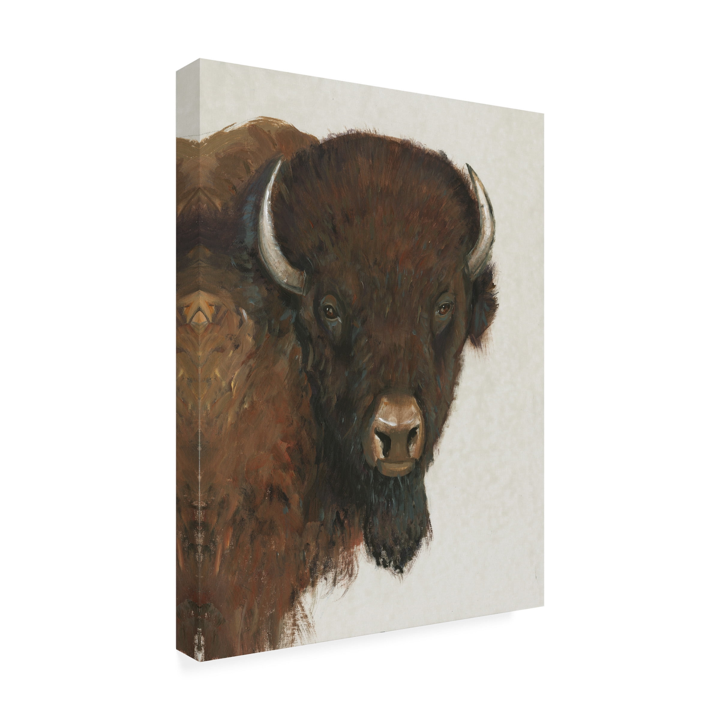 Tim OToole 'Western Portrait II' Canvas Art