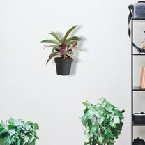 CIMAXIC Outdoor Wall Planters Hanging Wall Planter Black Metal 1Set