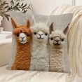 thumbnail image 2 of Naxoaeo Decorative Throw Pillow Cover, 18x18 Inch Polyester Cushion Case, Soft & Comfortable for Sofa Couch Bed Living Room, Hidden Zipper, Machine Washable, Farmhouse Home Decor, Housewarming Gift, 2 of 7