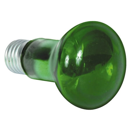 EL-141 Replacement Lamp for Octo-Bar