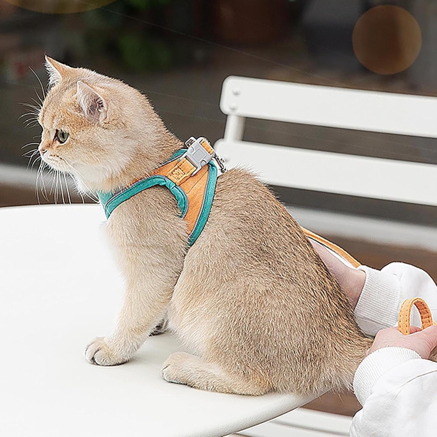 Cat Harness and Leash Set, Breathable Mesh Vest with Reflective for Outdoor