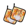thumbnail image 1 of Carolines Treasures BB9981PTHD Sheltie Automne Paire de Porte-Pots, 1 of 1