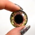 thumbnail image 2 of Brown and Cream Human Glass Eyes, 2 of 5