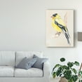 thumbnail image 3 of Trademark Fine Art 'Little Bird on Branch III' Canvas Art by Jennifer Paxton Parker, 3 of 4