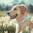 thumbnail image 6 of Pet Artist Personalized Dog Collar Flower Studded Floral Nylon ID Name Tag Collar Engraved, 6 of 8