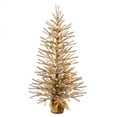 thumbnail image 2 of 30 Mocha Tree w/Burlap Base Dural 35CL, 2 of 2