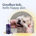thumbnail image 5 of Honest Paws Dog Shampoo Plus Conditioner, 5-in-1 Dog Wash, 16 oz Oatmeal & Lavender, 5 of 9
