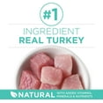thumbnail image 3 of shiyou-+Plus Dry Cat Food, Sensitive Systems Turkey - 1.8 kg Bag, 3 of 4