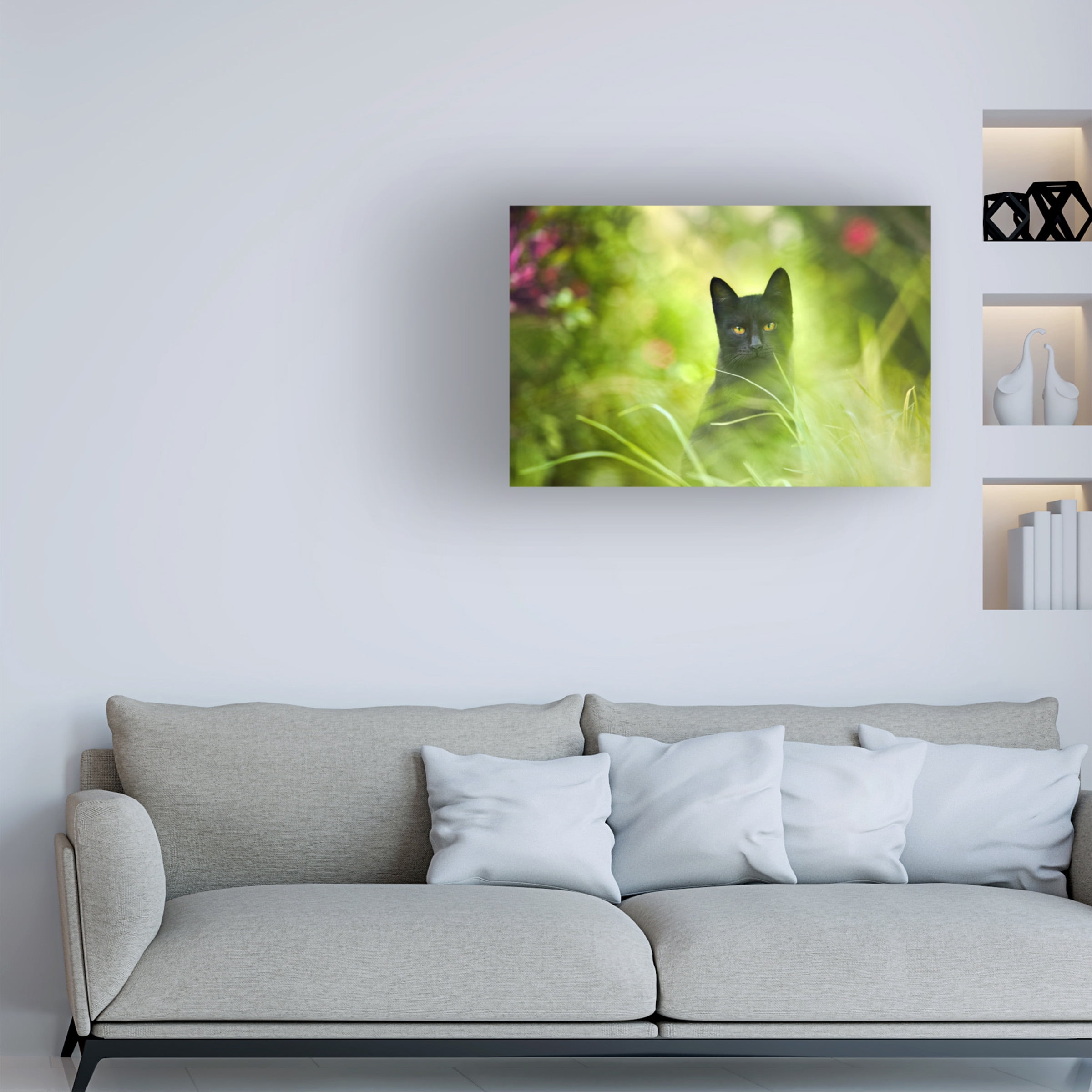 Ben Heine 'Black Cat' Canvas Art