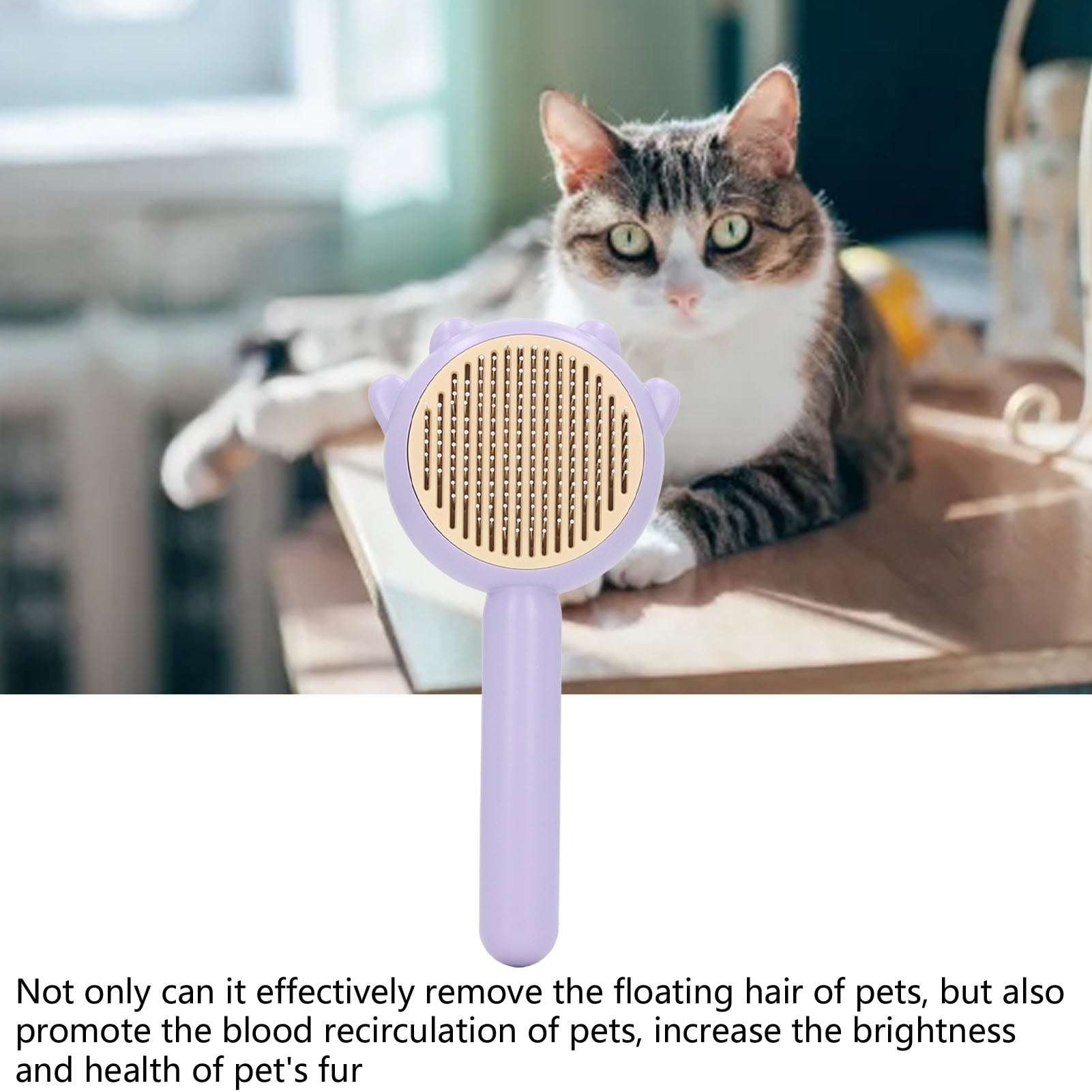 Purple cat brush hotsell