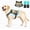 Military green, variant on SAVIOR COOL Comfort Dog Cooling Vest for Medium Large Dogs, Soft Summer Cooling Harness with 4 Cold Source, SPF 50+ Sun Guard, Breathable Reflective Jacket for Hot Weather Safety