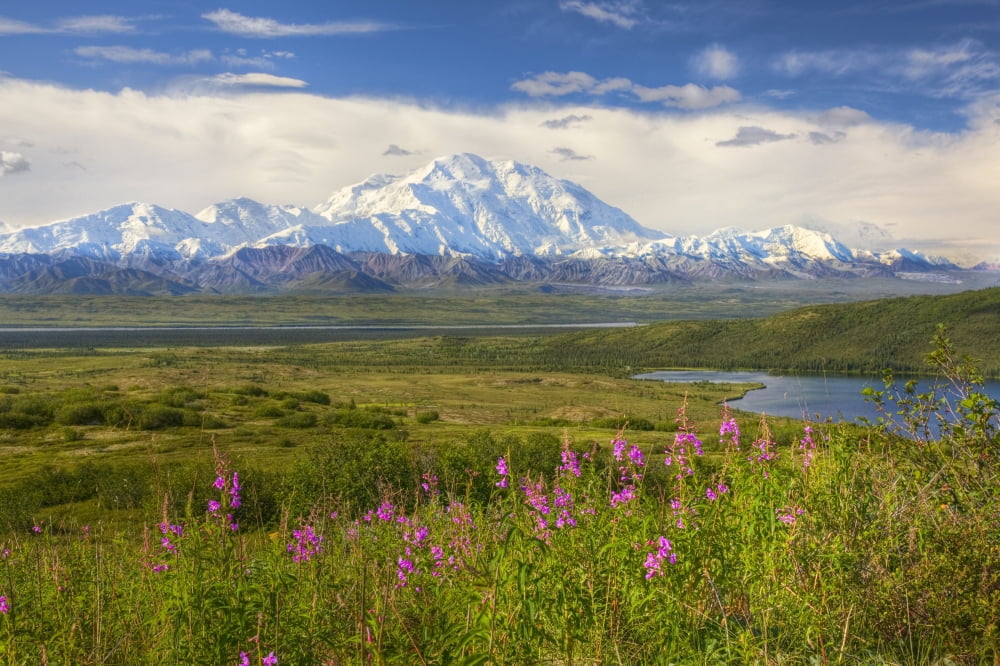 View Of The North Side Of Mt Mckinley On A Sunny Day With Mckinley River And Wonder Lake In The Foreground Denali National Park And Preserve Interior Alaska Summer Hdr Canvas Art - John Delapp Design