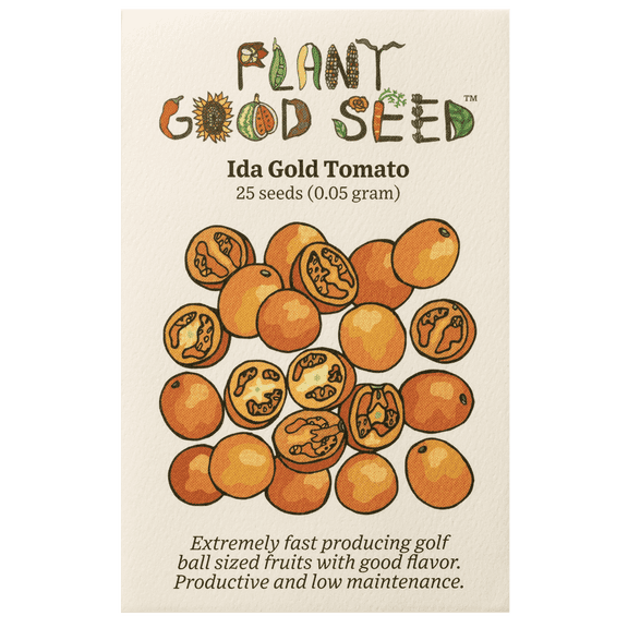 Plant Good Seed Organic Ida Gold Tomato Seeds for Planting: 25 Count, Orange Determinate, Fast Growing