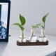 thumbnail image 4 of Florero hidropónico, florero de brotes, soporte moderno para plantas, maceta, florero, macetero de cristal para escritorio, balcón, mesa de cena,, 4 of 8