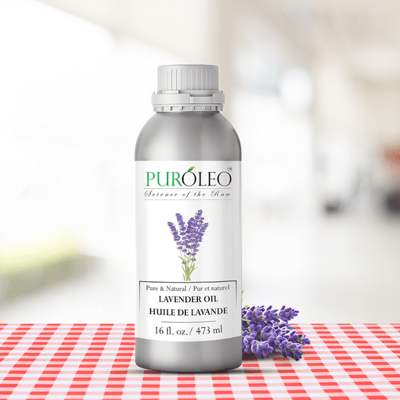PUROLEO Lavender Essential Oil 16 Fl Oz/473 ML (Packed In Canada) 100% Pure Natural Undiluted Cold Pressed for Aromatherapy Therapeutic Grade Aromatherapy Oil for Sleep