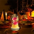 thumbnail image 1 of Fridja Beauty and The Rose,Enchanted Flower with LED Light &Red Roses. Birthday, 1 of 3
