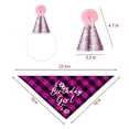 thumbnail image 2 of Pet Birthday Party Set Hat Triangle Scarf Female Dog Festival Decoration Props Cute Pink Set, 2 of 3