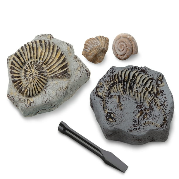 Discovery #MINDBLOWN Mini Fossil Dig Set, 2 Pack Excavation Kit with ...