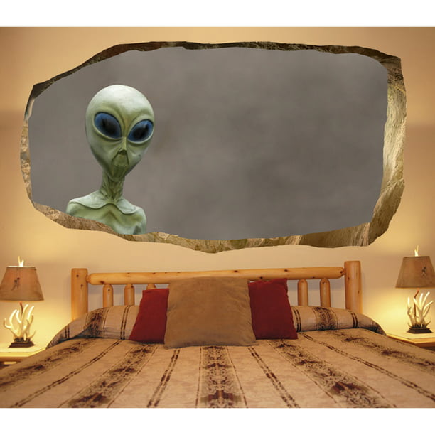 Startonight 3D Mural Wall Art Photo Decor Alien in my Bedroom Amazing Dual  View Surprise Wall Mural Wallpaper for Bedroom Funny Art Large  '' By   '' 