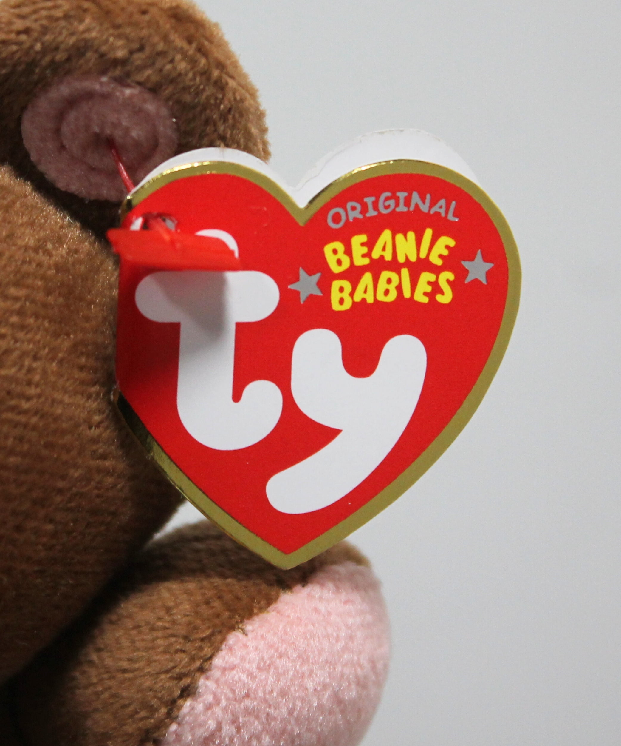 TY Beanie Baby - POOKY the Stuffed Animal Bear ( Metal Key Clip