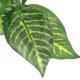 thumbnail image 4 of Tanque de reptiles, planta falsa, decoración de plantas artificiales, adorno de planta vívida, decoración de tanque de reptiles, 4 of 6