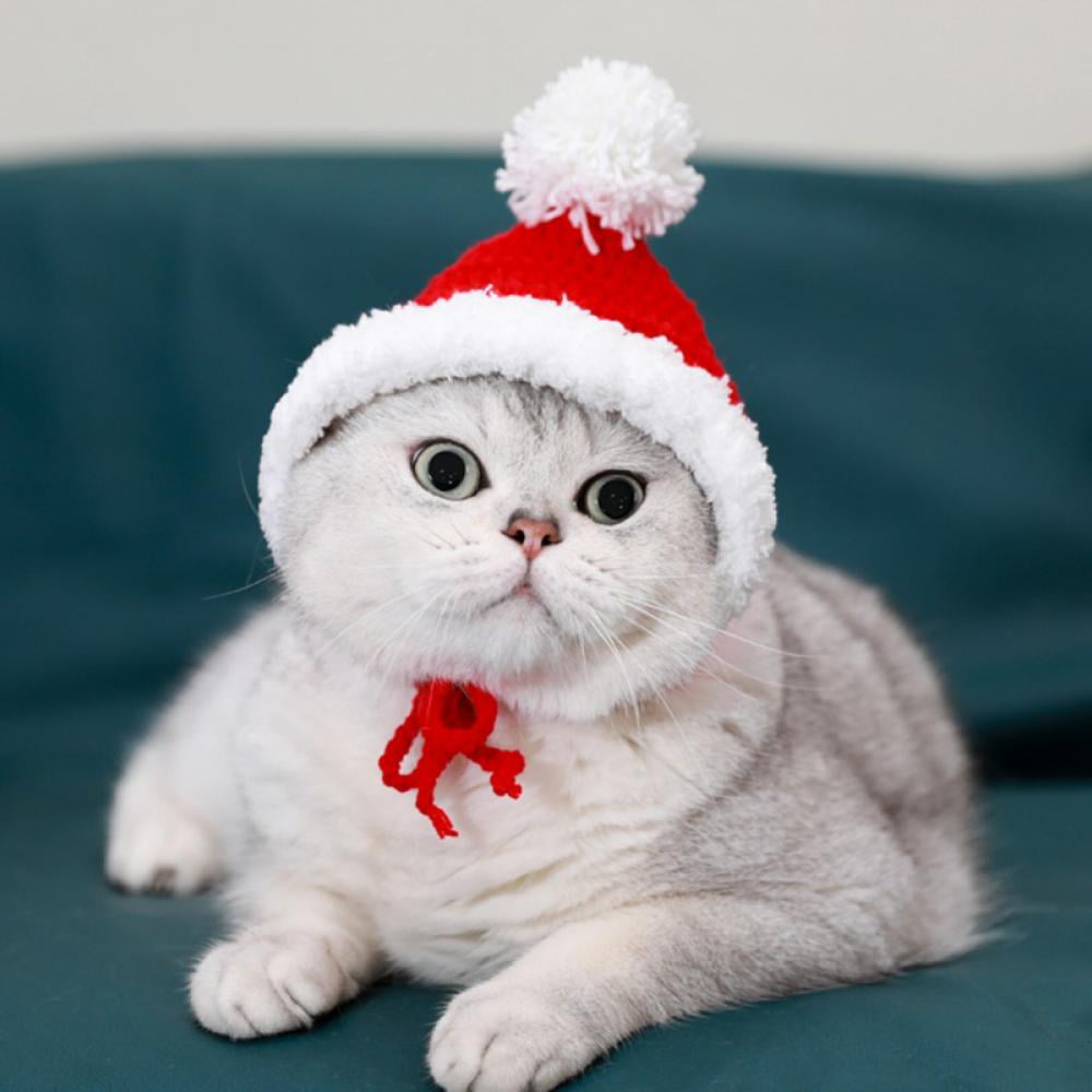 Details about   Mini Christmas Santa Hats For Pets