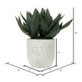 thumbnail image 5 of Vickerman 14" Artificial Green Succulent in Concrete Gray Pot., 5 of 5
