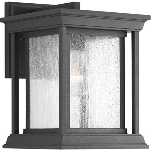 Progress Lighting P5605-31 Endicott One-Light Small Wall Lantern, Black