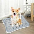 thumbnail image 5 of Dog Toilet Durable Reusable Bedpan Pee Pad for Kitten Bunny Pets Accessories White, 5 of 8