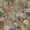 Multicolor, variant on Abyssaly Floral Wallpaper 17.7" x 118" Peel and Stick Wallpaper Removable Self Adhesive Plum Wall Paper Decorative Wall Paper for Bedroom Living Room Home Decor