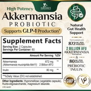 Akkermansia Gut Health Supplement - Premium Akkermansia Probiotic With Prebiotic Fiber - Akkermansia Muciniphila 2 Billion AFU Per Serving - GLP-1 Support for Women & Men, Bottled USA - 120 Capsules