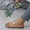 Sky Blue, variant on WILLBEST Bootie Slippers for Women Women's Summer Fashion Flat Bottom Clip Toe Pearl Slippers Outdoor Beach Casual Comfortable Sandal Slippers