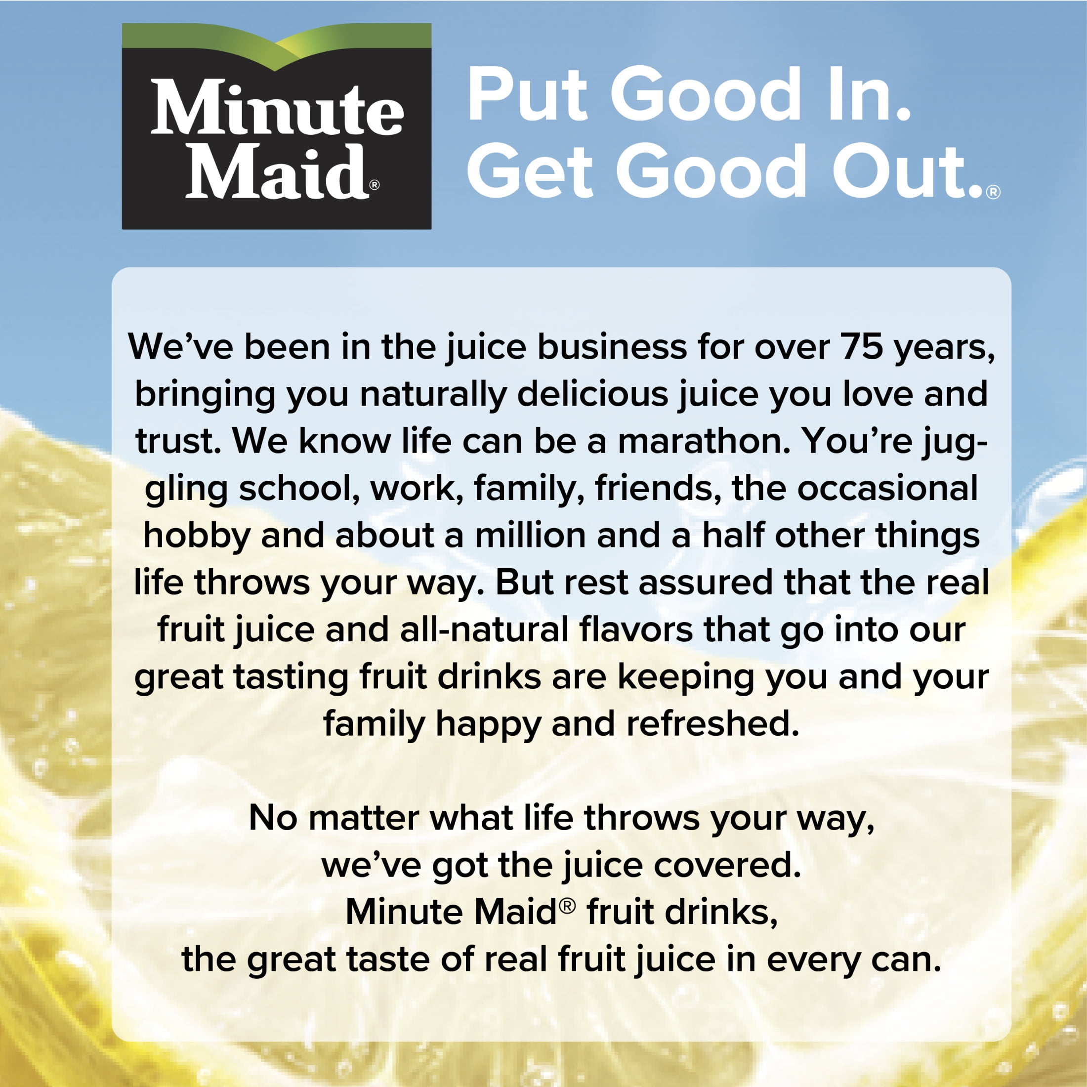 (2 pack) Minute Maid Lemonade Bottles, 16.9 fl oz, 6 Pack